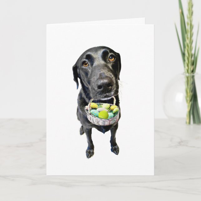 Cartes Pour Fêtes Annuelles Cas désespéré (Devant)