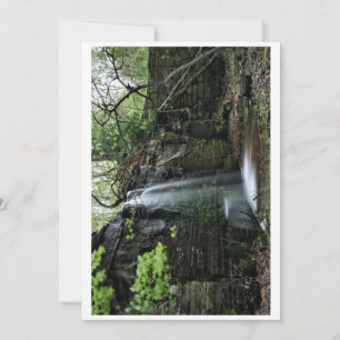 Cartes Pour Fêtes Annuelles Cascade de printemps cachée