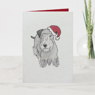 Cartes Pour Fêtes Annuelles Casquette de Cesky Terrier Père Noël