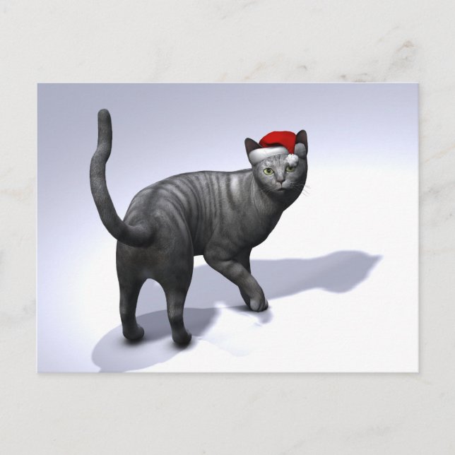 Cartes Pour Fêtes Annuelles Casquette Silver Tabby Santa Claus (Devant)