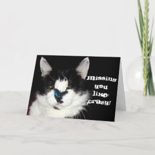 Cartes Pour Fêtes Annuelles CAT & BUTTERFLY Missing You Card