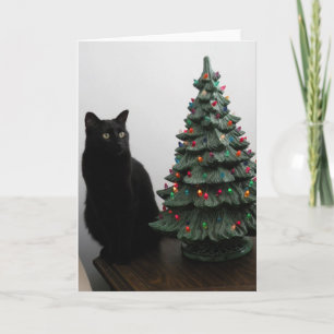 Cartes Pour Fêtes Annuelles Cat de Noël