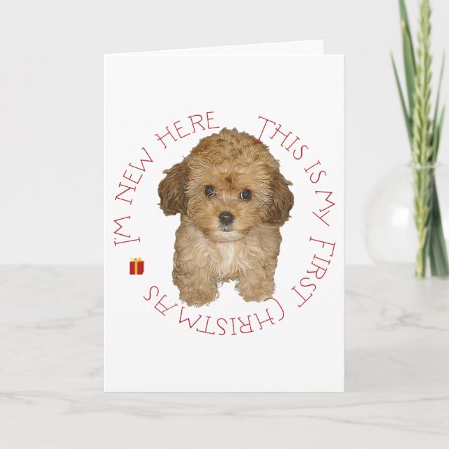 Cartes Pour Fêtes Annuelles Cavachon chiot premier Noël (Devant)