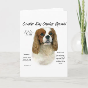Cartes Pour Fêtes Annuelles Cavalier Comme Aucune Autre race