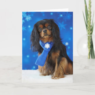 Cartes Pour Fêtes Annuelles Cavalier de vacances