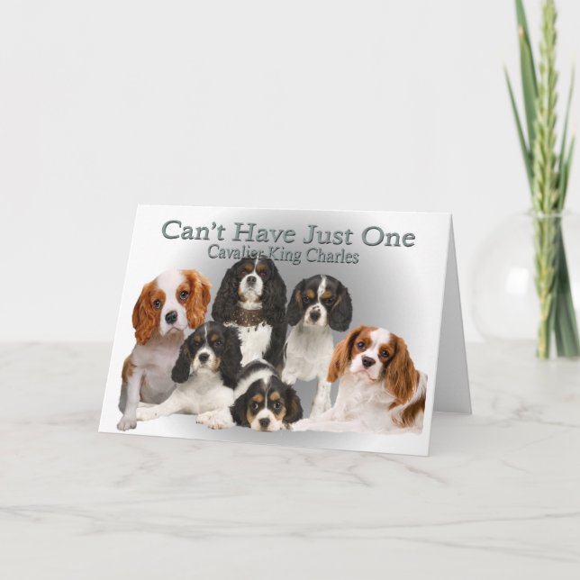 Cartes Pour Fêtes Annuelles Cavalier King Charles ne peut pas avoir seulement  (Devant)