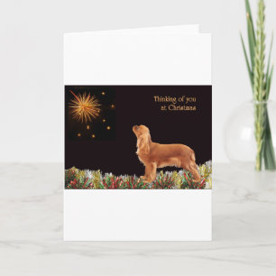 Cartes Pour Fêtes Annuelles Cavalier rouge de Noël