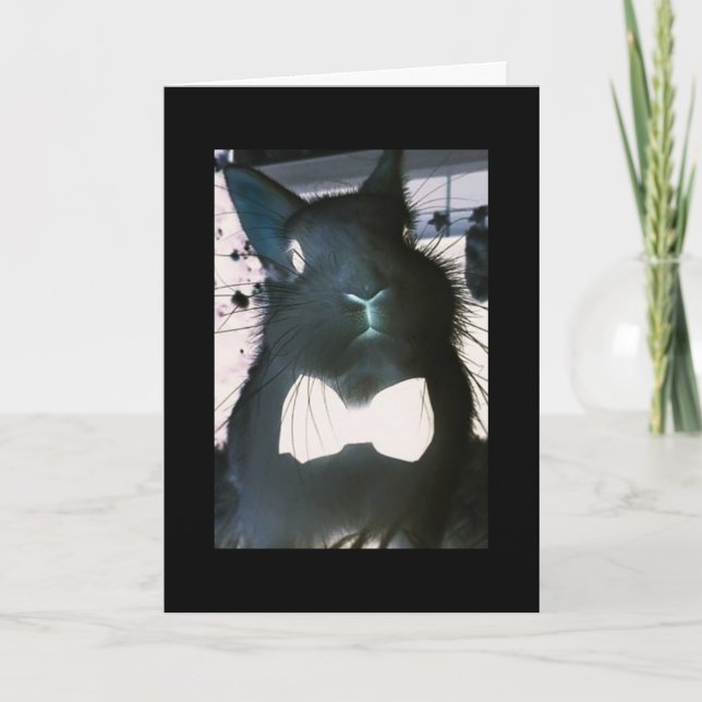 CARTES POUR FÊTES ANNUELLES CE BUNNY CRAZY SIGNIFIE "AFFAIRES" **HAPPY EASTER* (Devant)