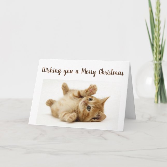 CARTES POUR FÊTES ANNUELLES CE PETIT CHAT VEUT DIRE **JOYEUX NOËL** (Devant)