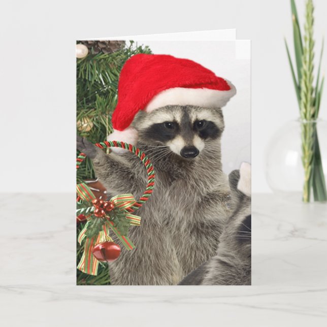 Cartes Pour Fêtes Annuelles Célébration de Noël Raccoon (Devant)