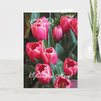 Cartes Pour Fêtes Annuelles Célébrez ! , Le ressort est ici !