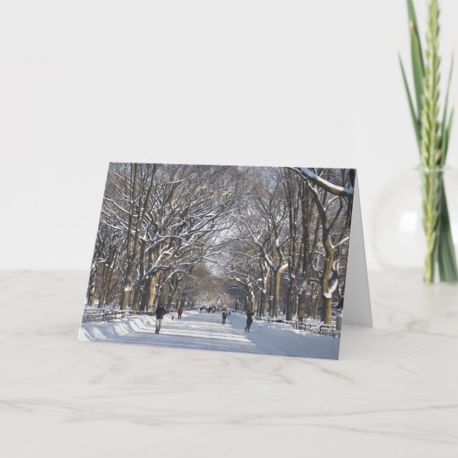 Cartes Pour Fêtes Annuelles Central Park de mail d'hiver (Devant)