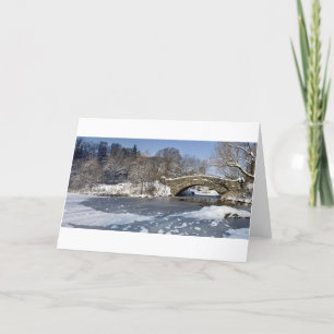 Cartes Pour Fêtes Annuelles Central Park de pont et de glace de neige