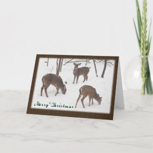 Cartes Pour Fêtes Annuelles Cerf blanc dans Snowy Woods - Joyeux Noël