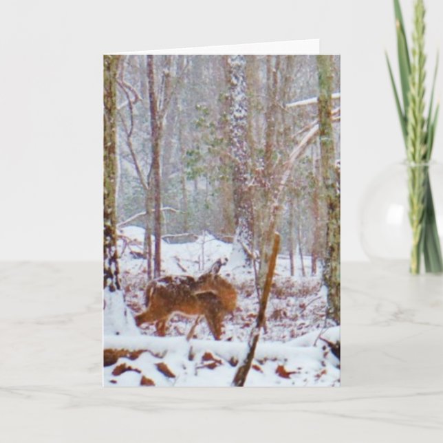 Cartes Pour Fêtes Annuelles Cerf dans la neige, lécher la jambe (Devant)