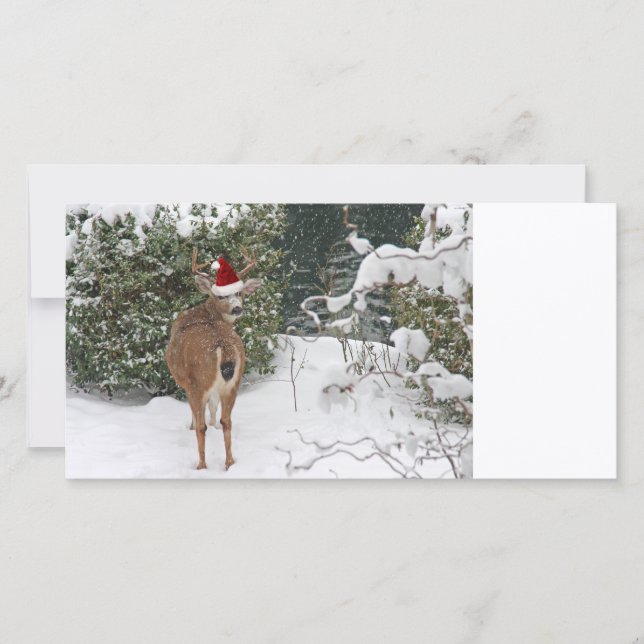 Cartes Pour Fêtes Annuelles Cerf de Noël (Devant)