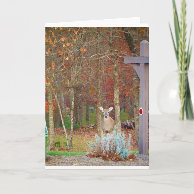 Cartes Pour Fêtes Annuelles Cerf de Noël (Devant)
