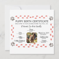 Certificat de naissance personnalisé de chiot