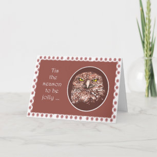 Cartes Pour Fêtes Annuelles C'est la saison Funny Grumpy Owl Noël