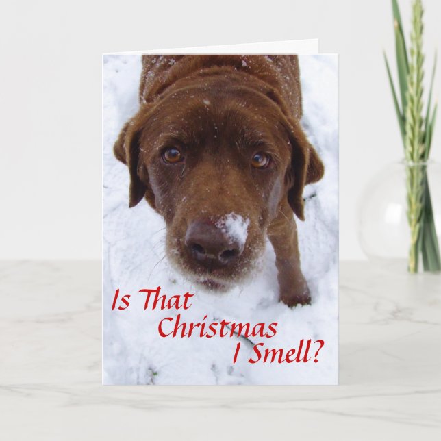 Cartes Pour Fêtes Annuelles C'est Noël que je sens ? (Devant)