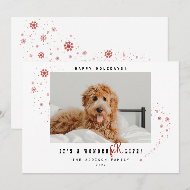 Cartes Pour Fêtes Annuelles C'est une merveilleFUR Vie animal de compagnie pho (Devant / Derrière)