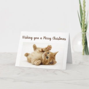 CARTES POUR FÊTES ANNUELLES CETTE PETITE KITTY VEUT DIRE **MERY NOËL**