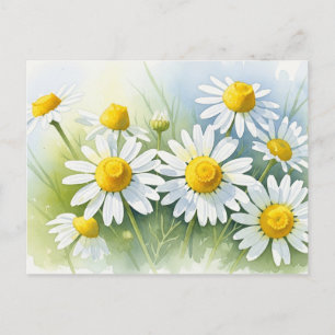 Cartes Pour Fêtes Annuelles Chamomille allemande en fleurs