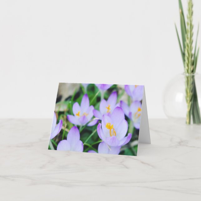 Cartes Pour Fêtes Annuelles Champ de Crocus de Printemps (Devant)