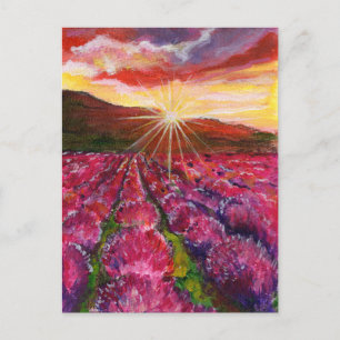 Cartes Pour Fêtes Annuelles Champ de Lavande Rose France Provence