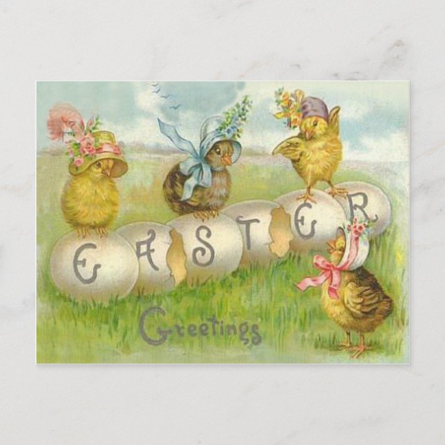 Cartes Pour Fêtes Annuelles Champ de poussins d'oeufs de Pâques (Devant)