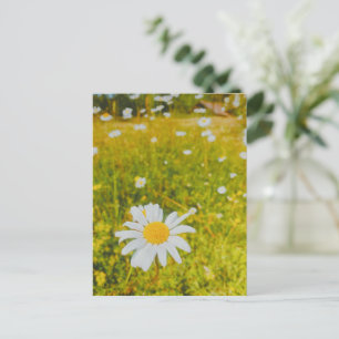 Cartes Pour Fêtes Annuelles Champ scandinave estival en fleurs