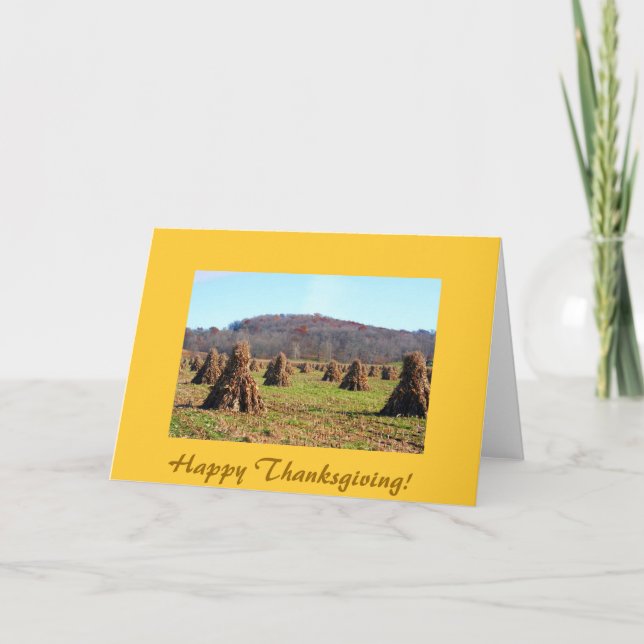 Cartes Pour Fêtes Annuelles Champs amish, bon thanksgiving ! (Devant)