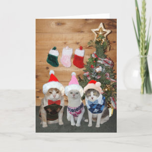 Cartes Pour Fêtes Annuelles Chandail personnalisable de Jacquard de