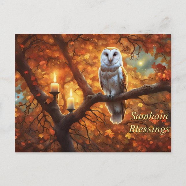 Cartes Pour Fêtes Annuelles Chandelles de Samhain Owl (Devant)