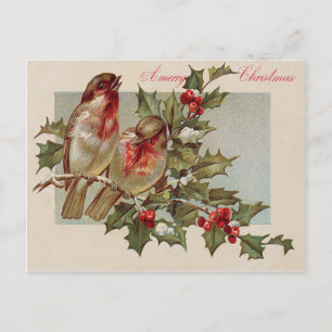 Cartes Pour Fêtes Annuelles Chanson d'oiseau de Noël houx neige