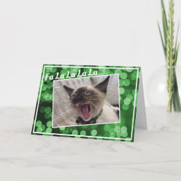 Cartes Pour Fêtes Annuelles Chant amusant Siamese Kitten Photo Noël