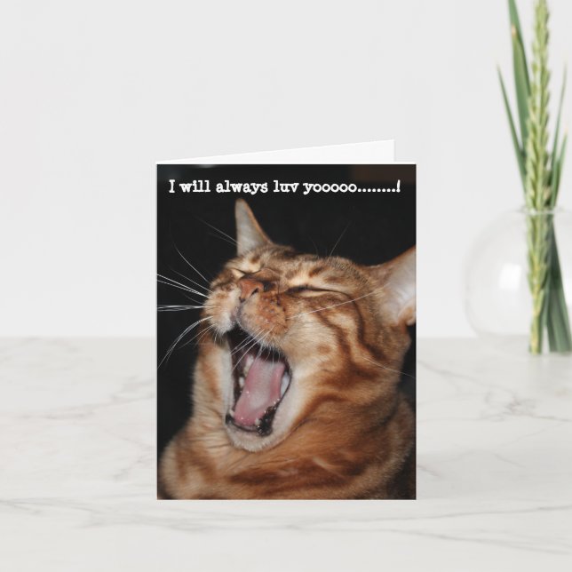 Cartes Pour Fêtes Annuelles Chant Bengale chat "Je vais toujours te jouer" (Devant)