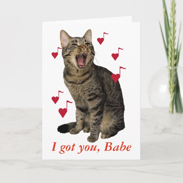 Cartes Pour Fêtes Annuelles Chant de chat de Saint-Valentin (Devant)