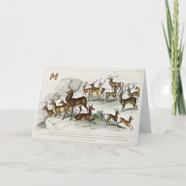 Cartes Pour Fêtes Annuelles Chapeau Red Deer Personnalisé, Dos, Roebuck, Cerf  (Devant)