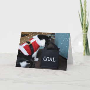 Cartes Pour Fêtes Annuelles Charbon de Noël