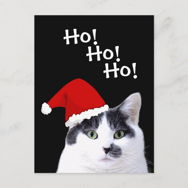 Cartes Pour Fêtes Annuelles Chat à Santa Hat Holiday (Devant)