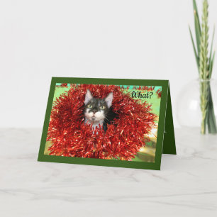 Cartes Pour Fêtes Annuelles Chat À Tinsel