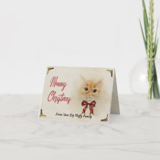 Cartes Pour Fêtes Annuelles Chat Abyssin Noël Miaule Art Aquarelle