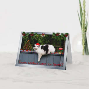 Cartes Pour Fêtes Annuelles Chat affectueux de biscuit