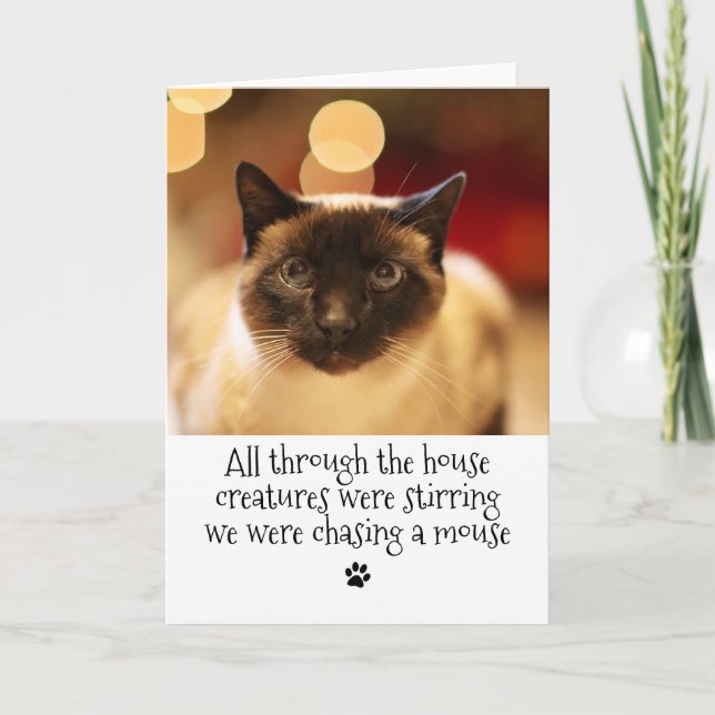 Cartes Pour Fêtes Annuelles Chat animal de compagnie de Noël amusant (Devant)
