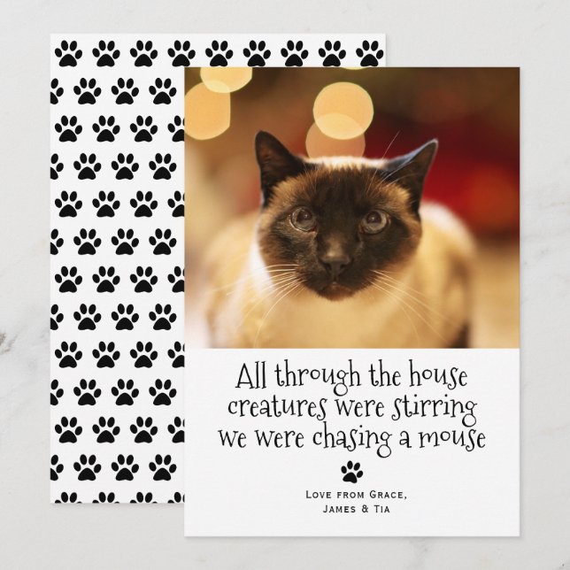 Cartes Pour Fêtes Annuelles Chat animal de compagnie de Noël amusant (Devant / Derrière)