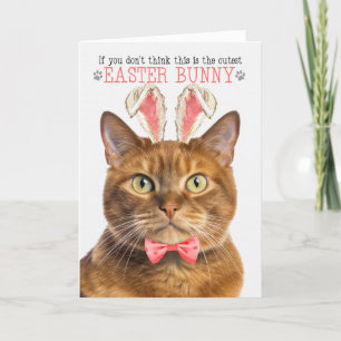 Cartes Pour Fêtes Annuelles Chat au gingembre en Lapin Oreilles pour Pâques