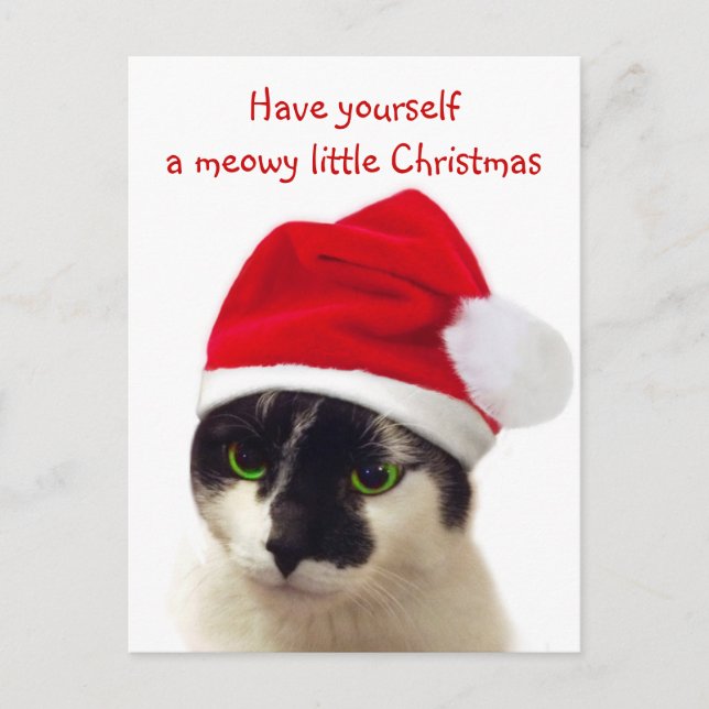 Cartes Pour Fêtes Annuelles Chat avec Casquette Père Noël (Devant)