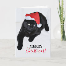 Chat avec le chapeau du Père Noël Rouge