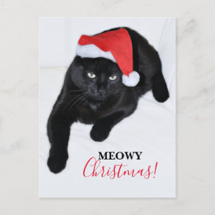 Cartes Pour Fêtes Annuelles Chat avec le chapeau du Père Noël Rouge